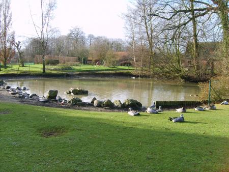 LA MARE AUX CANARDS